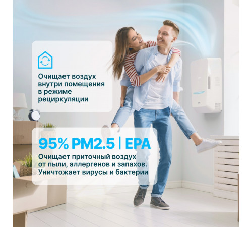 TION Бризер Bio X Standard