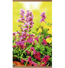 Пленочный инфракрасный обогреватель Домашний очаг Цветы 500Вт