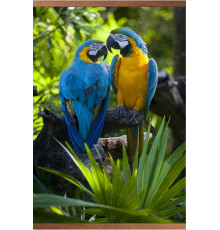 Пленочный инфракрасный обогреватель Домашний очаг Попугаи 500Вт