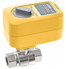 Шаровой кран с электроприводом Neptun PROFI 220В 1 1/4"