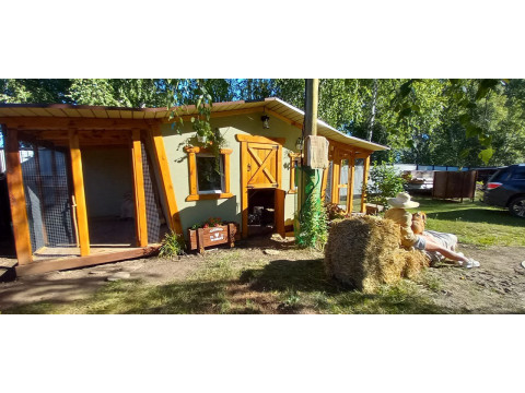 Почему важно поддерживать в курятнике тепло