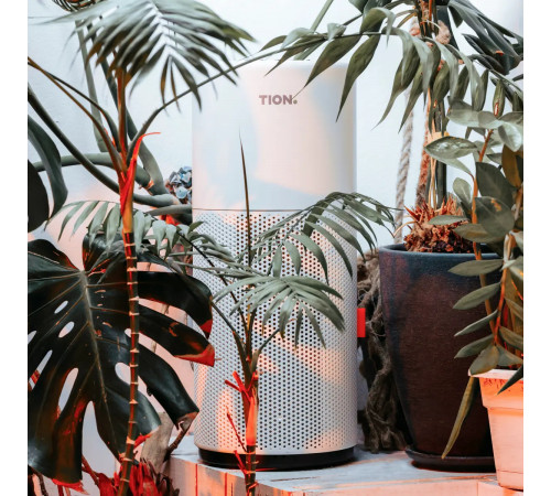 Увлажнитель воздуха TION Iris