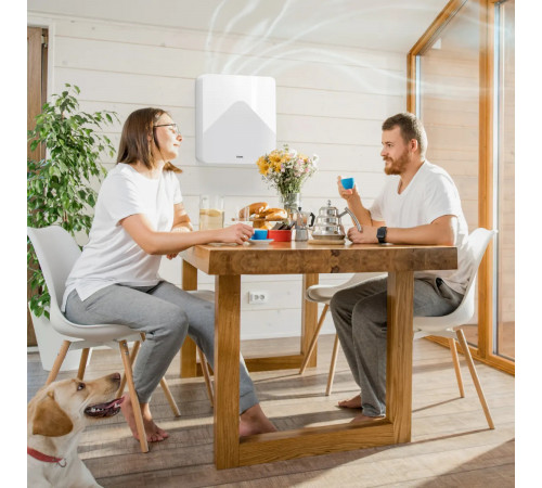 TION Бризер 4S Plus