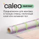 Нагревательный мат CALEO EASYMAT 180 Вт/м2 2,5 м2