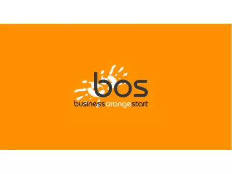 Встреча с Дмитрием Климовым в Бизнес-школе BOS (Санкт-Петербург)